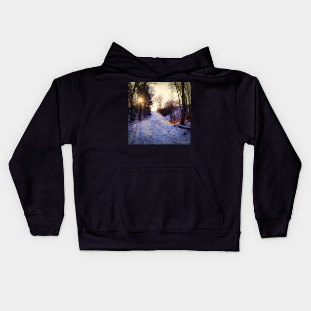 Sunset At The Entrance To Hemlock Ravine Park Kids Hoodie by kenmo